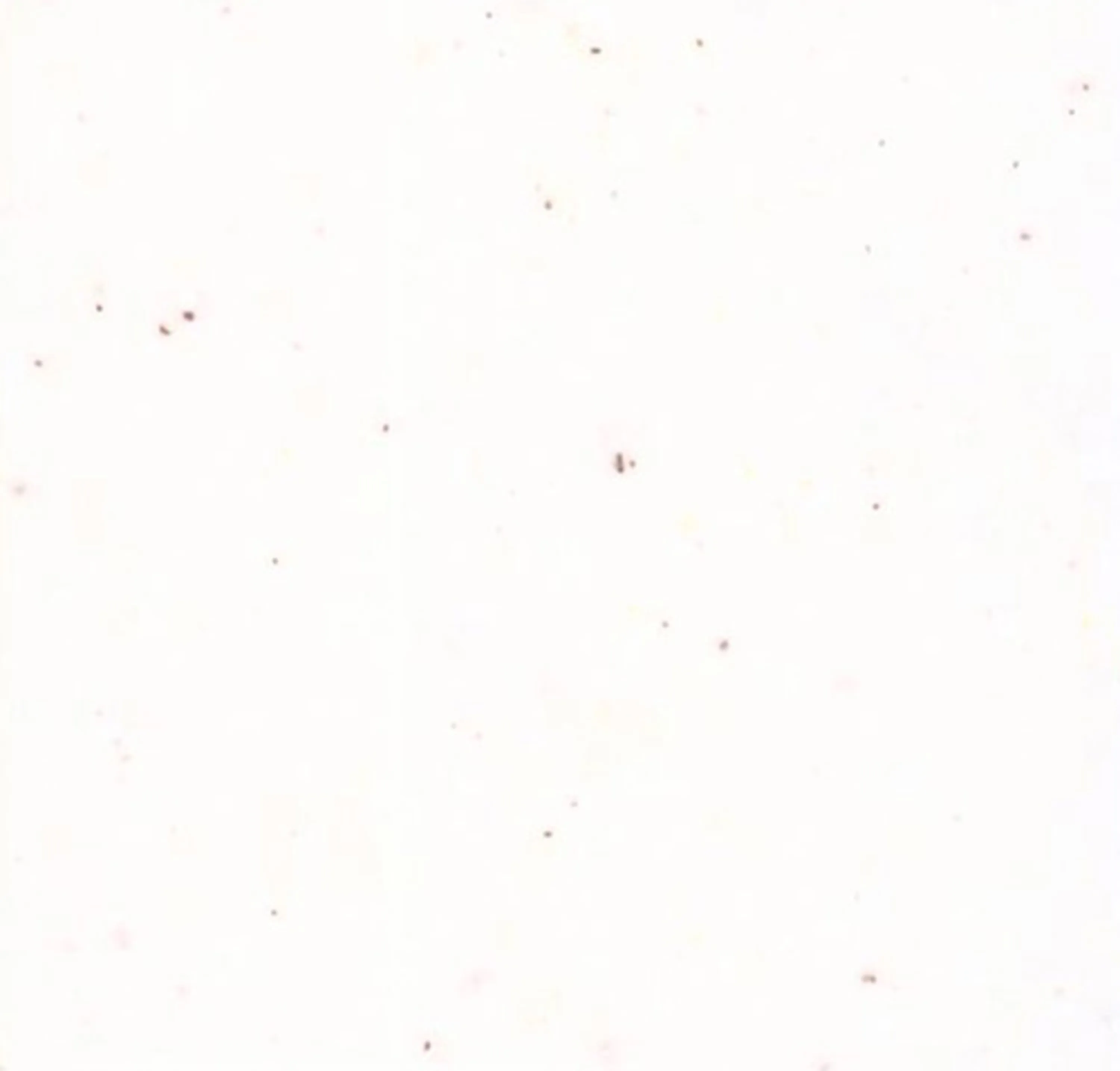 سنگ کورین اورانوس کد GR-175